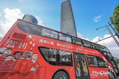 与卡裴娜一起，登大巴开盲盒